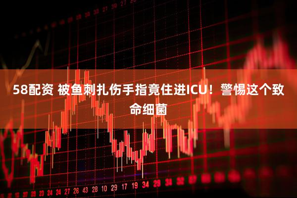 58配资 被鱼刺扎伤手指竟住进ICU！警惕这个致命细菌