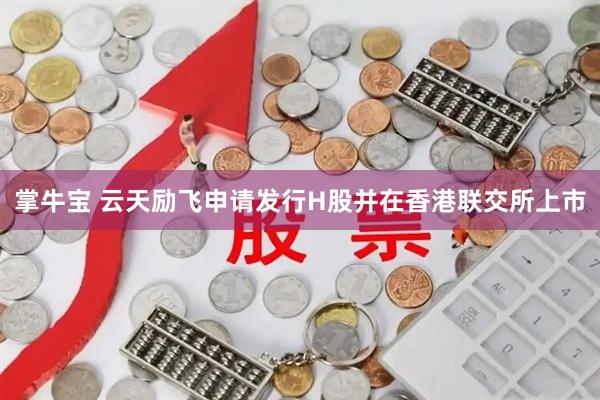 掌牛宝 云天励飞申请发行H股并在香港联交所上市