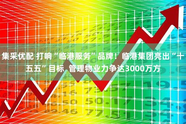 集采优配 打响“临港服务”品牌！临港集团亮出“十五五”目标  管理物业力争达3000万方