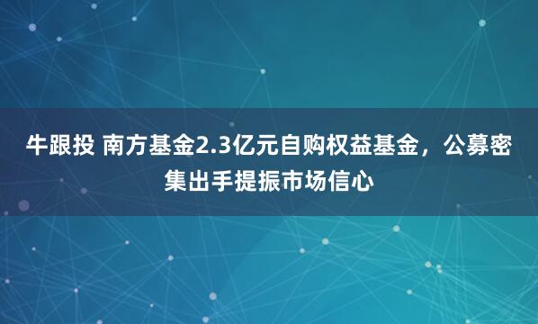 牛跟投 南方基金2.3亿元自购权益基金，公募密集出手提振市场信心