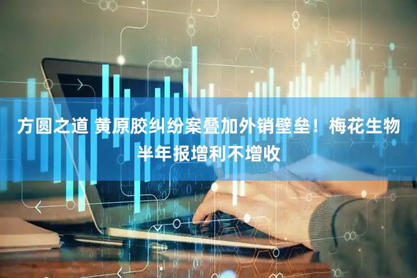 方圆之道 黄原胶纠纷案叠加外销壁垒！梅花生物半年报增利不增收