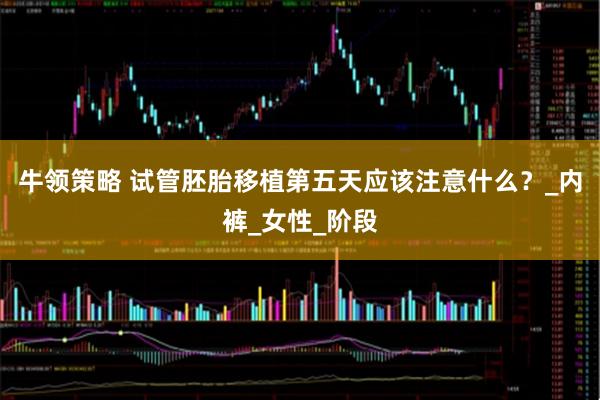 牛领策略 试管胚胎移植第五天应该注意什么？_内裤_女性_阶段