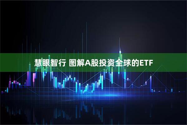 慧眼智行 图解A股投资全球的ETF